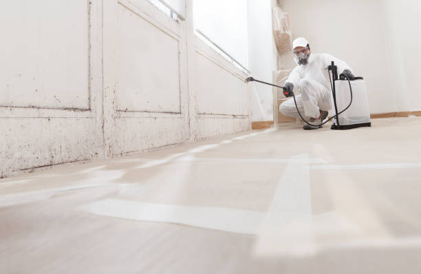 24/7 Emergency Attic Mold Remediation experts in Deltaville, VA